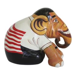 Obama 10cm