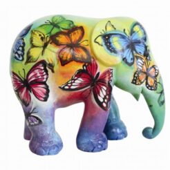 Beauty in Freedom 20cm