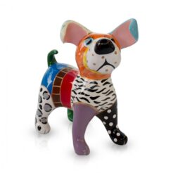 Snoop Dog Multicolour