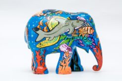 Rainbow Reef 20cm