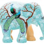 Peacock seasons Kunst en Kadootjes