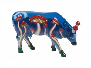 Magicmushy Kunst en Kadootjes