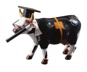 Cowdouter alert Kunst en Kadootjes