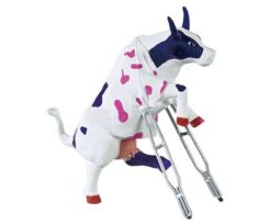 Owiecowie Kunst en Kadootjes
