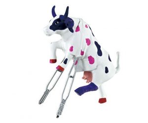 Owiecowie Kunst en Kadootjes