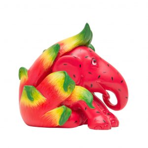 Dragon Fruit Kunst en Kadootjes