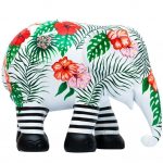 Descolado Kunst en Kadootjes