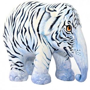White Tiger Kunst en Kadootjes
