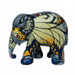 Butterfly effect Kunst en Kadootjes