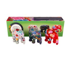 Multipack Friendly Flowers
