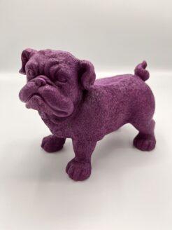 Chien violet