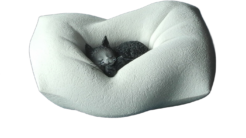 Cat Nap