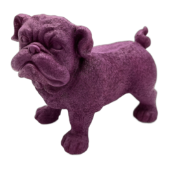 Chien violet
