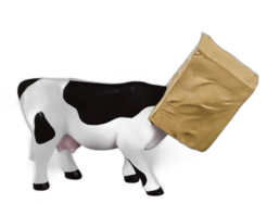 Cow Hide (medium resin)