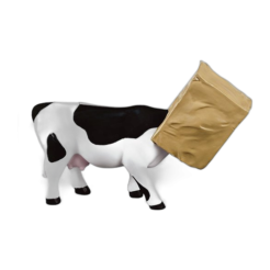 Cow Hide (medium resin)