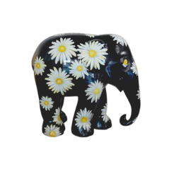 Daisies