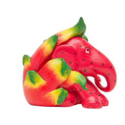 Dragon Fruit