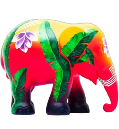 Elephas Musa 20cm