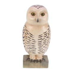 Harfang des neiges