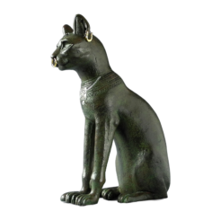 Le chat de Gayer-anderson