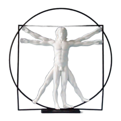 L’Homme de Vitruve (blanc)