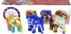 Multipack Beautiful Butterflies