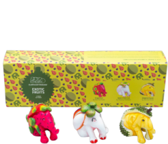 Multipack Exotic Fruits