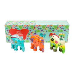 Elephant Parade - Multipack Exotique