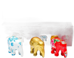 Multipack “Fortune”