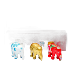 Multipack “Fortune”
