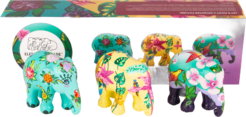 Multipack Tropic Time