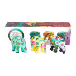 Multipack Tropic Time