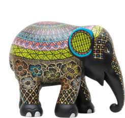 Nima Nima 20cm
