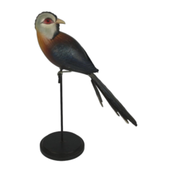 Oiseau bleu/marron