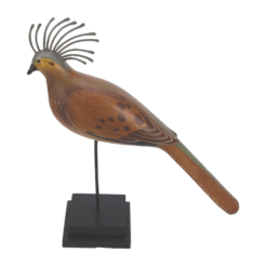 Pigeon couronné
