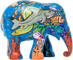 Rainbow Reef 20cm