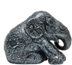 Silver Clover