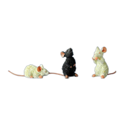 Souris – Set