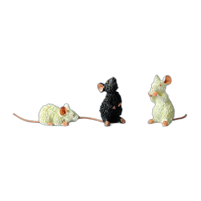 Souris – Set