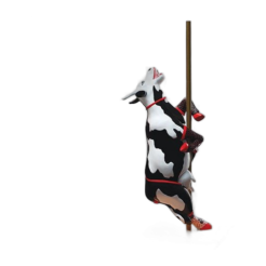 Vaca …. Tubo …. Tubo (medium resin)