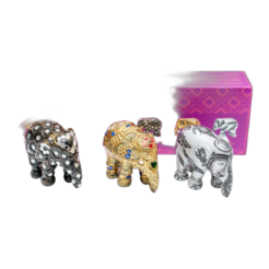 Multipack Sukothai
