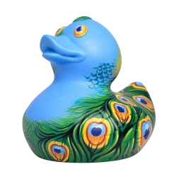 Pretty Peacock Duck 15cm